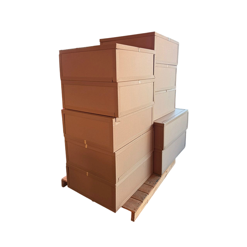 Caja de enchufes industrial impermeable – IP66, 16A 220V